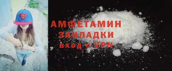 твердый Козельск