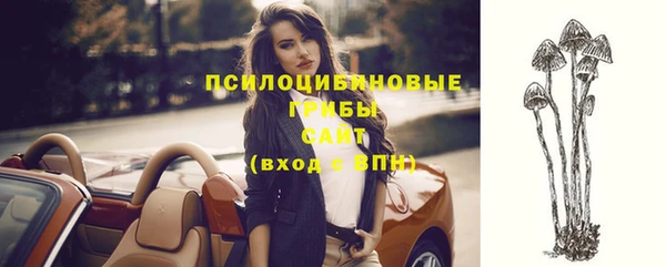 крисы Кодинск
