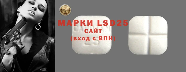крисы Кодинск