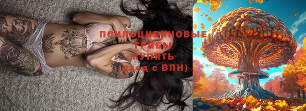PSILOCYBIN Красноперекопск