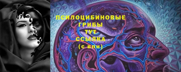 PSILOCYBIN Красноперекопск