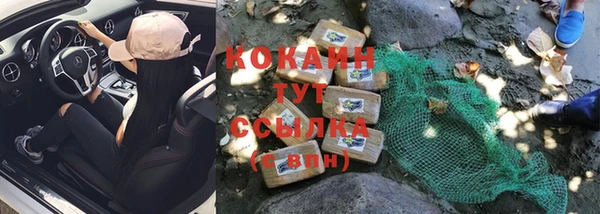 твердый Козельск