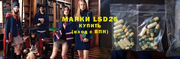 PSILOCYBIN Красноперекопск