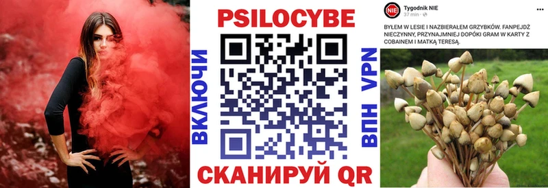 Псилоцибиновые грибы GOLDEN TEACHER  Мирный 